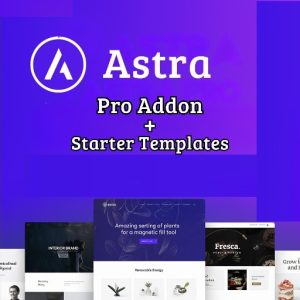 top free wordpress theme